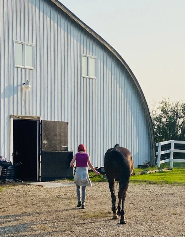 Equine Therapy Environment